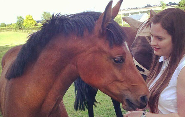 horses stable blown away