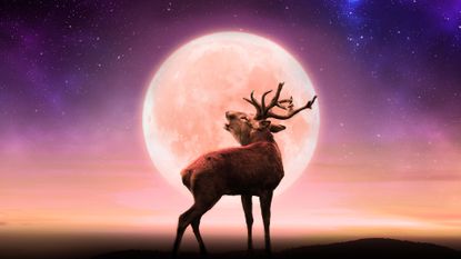 Buck Moon 2022: Deer in front of full moon in the background
