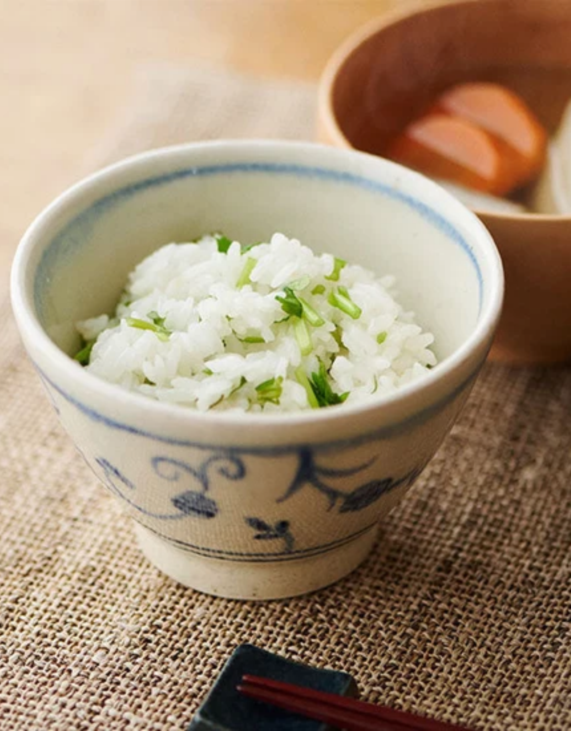 A close-up of a rice bowl