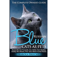 Russian Blue Cats As Pets | Amazon