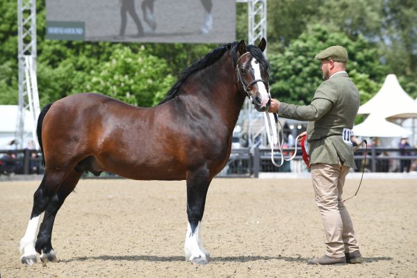 MOOR-CROFT-THE-MASTER_RWHS_PN18_22124_200172471_274555532-e1547824860809.jpg