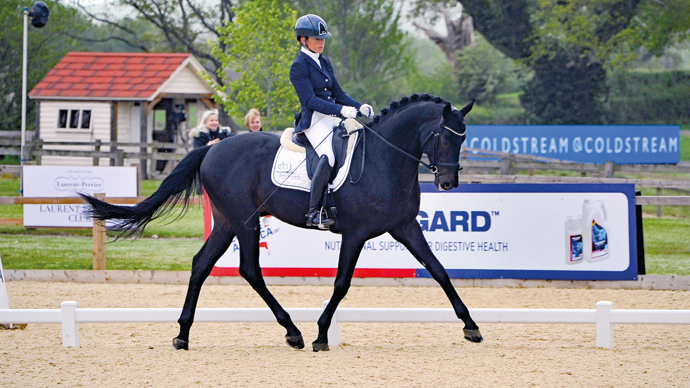 HAH307.dr_hickstead.kissingdale_hickstead_report_spidge_comm1use.jpg