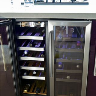 wine cooler with wines