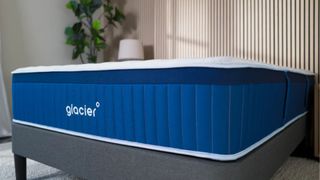 Side view of the navy Glacier mattress with wood panelling and green plant in background.