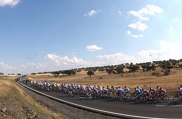 The peloton