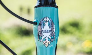 That famous badge on the headtube