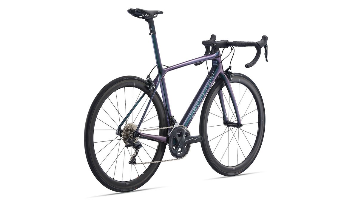 Giant TCR 2021