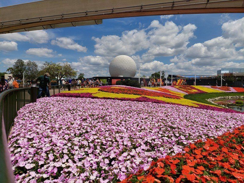 A52 5g Review A52 Flowerfield Epcot