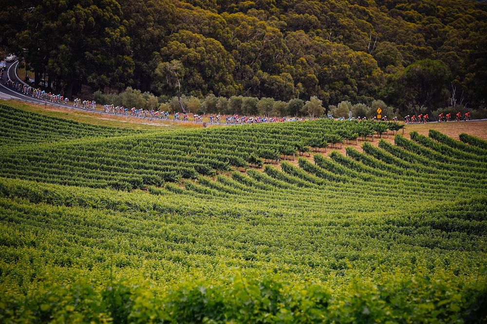 Scenery along the route of stage 3 at the Tour Down Under