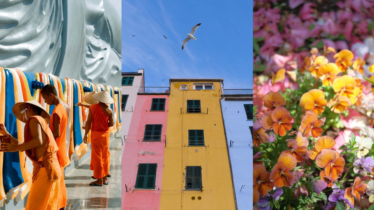 multicoloured image.