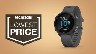 Forerunner 245 or online vivoactive 4