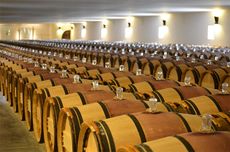 mouton rothschild barrel room