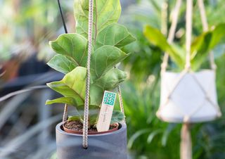 Walworth Garden by Studio Sutherl&