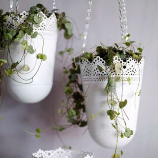 White metal hanging baskets with plant leaves trailing down the sides