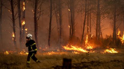 A firefighter battles a forest fire in Saint-Jean-d'Illac, some 30km from Bordeaux
