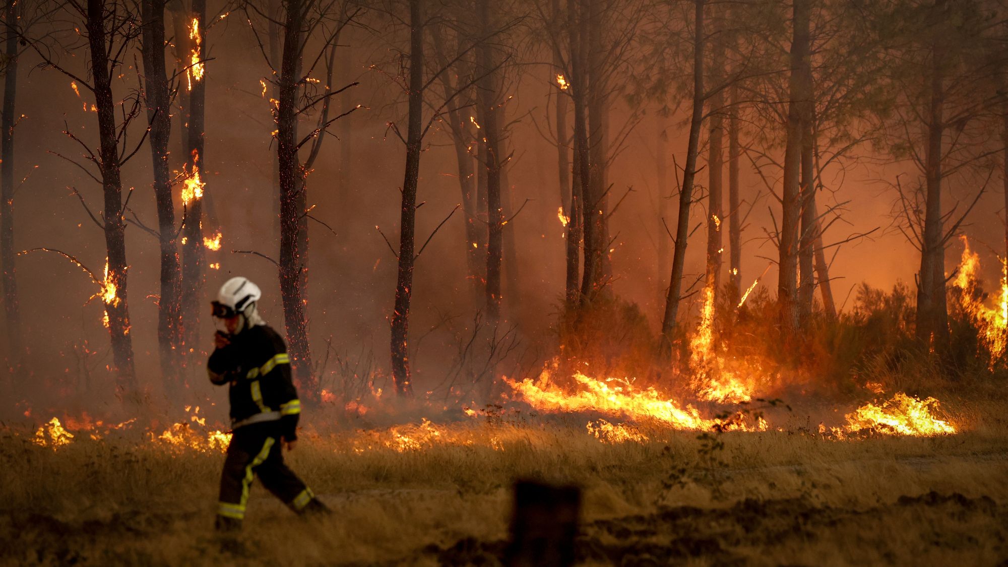 A firefighter battles a forest fire in Saint-Jean-d'Illac, some 30km from Bordeaux