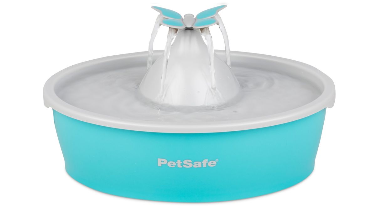 Best pet water fountains 2024 for optimal hydration PetsRadar