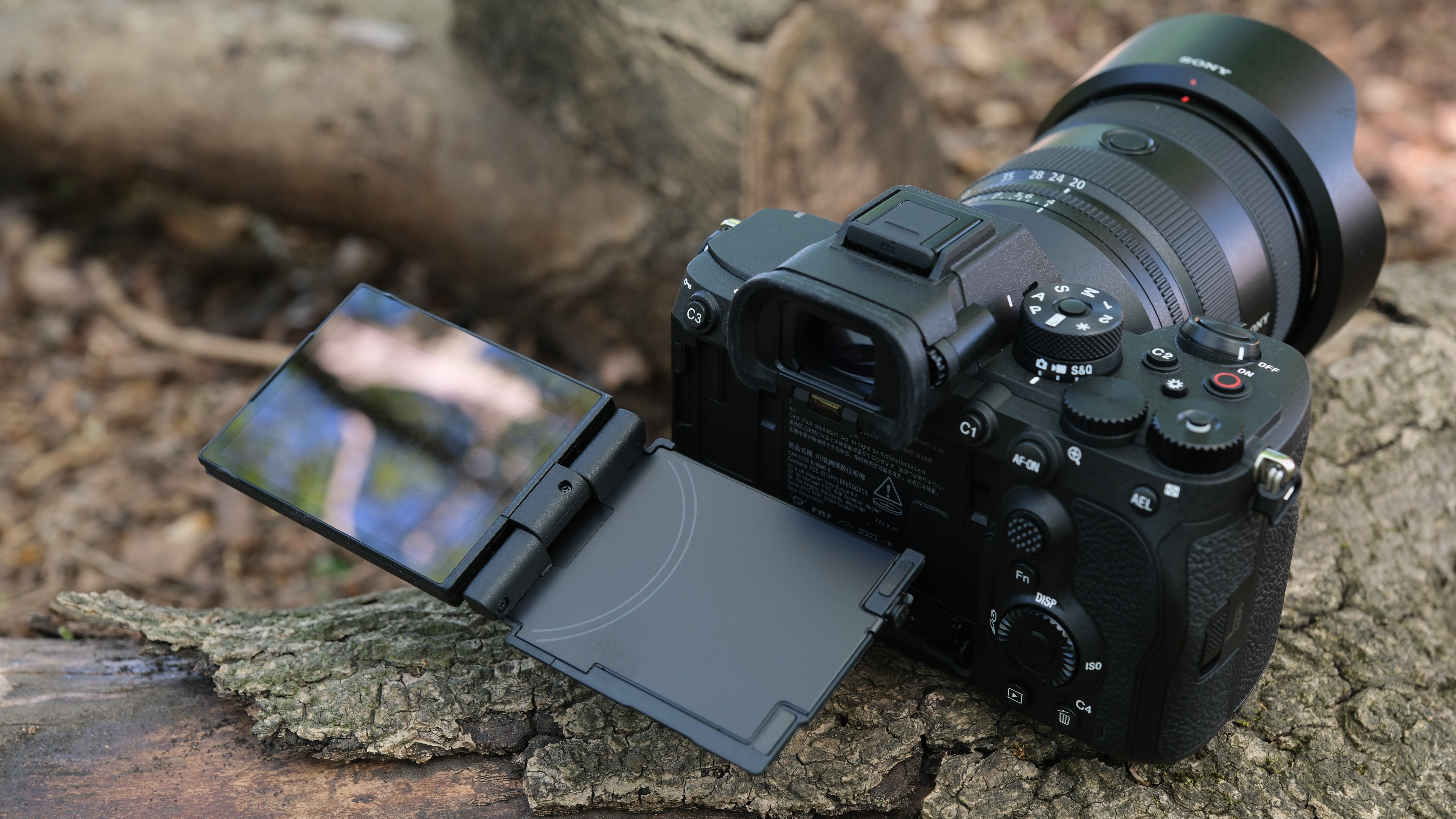 Sony A7R VI with its vari-angle screen opened on a tree trunk.