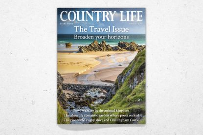 Cover of Country Life February 4, 2026