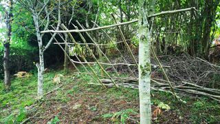 Adding horizontal spars as part of building a shelter from natural resources