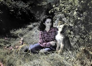 elizabeth taylor lassie