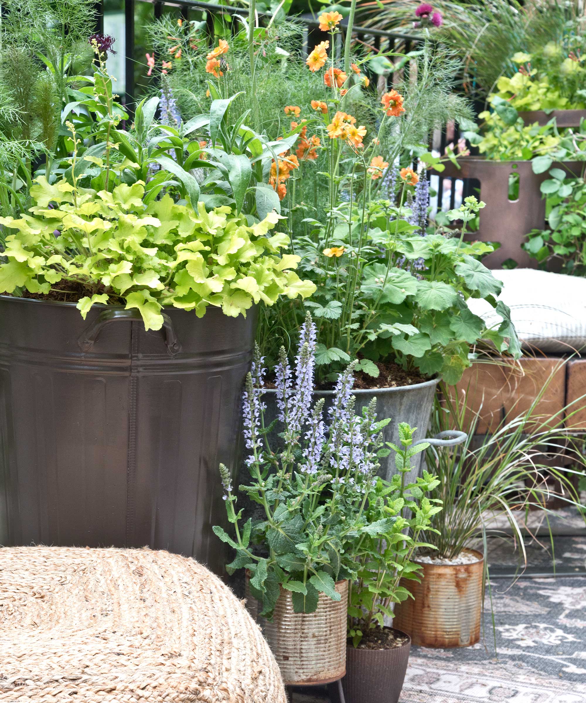 selection of garden containers filled with colourful plants and greenery