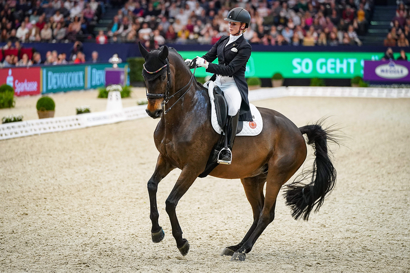 VON BREDOW-WERNDL Jessica (GER) riding TSF Dalera BB during the Longines FEI Dressage World Cup Final
