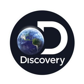 Old Discovery logo