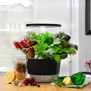 AeroGarden Harvest 360 Amazon