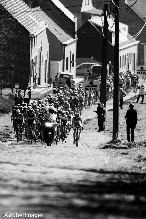 The peloton head towards one of the climbs in Dwars door Vlaanderen