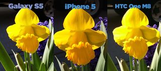 Samsung Galaxy S5 (Sprint) Flowers