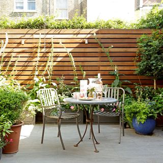 garden with table and chair and plants