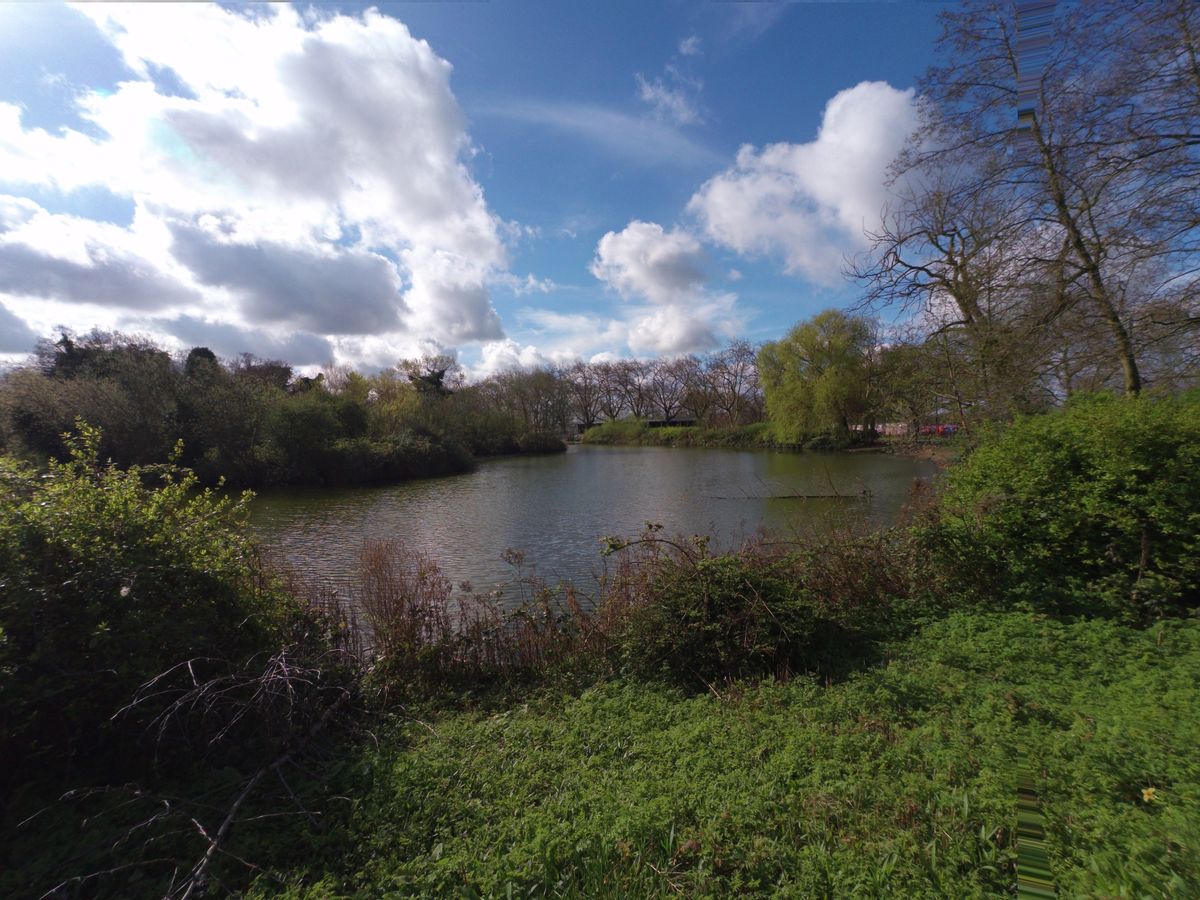 Lake surrounded by green bushes
