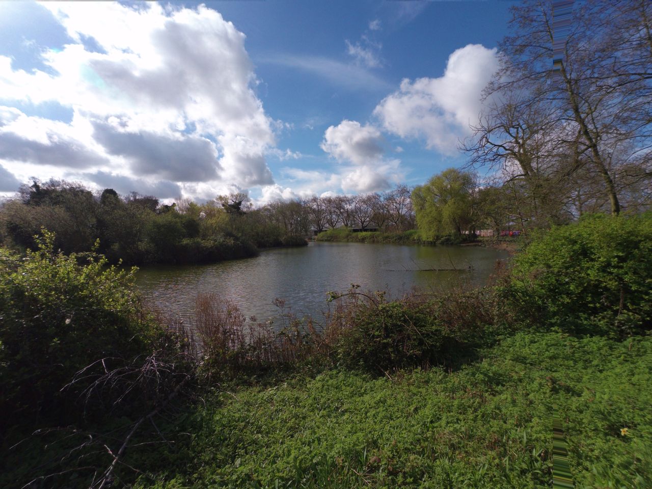 Lake surrounded by green bushes