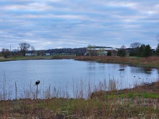 Samsung Galaxy S21 Ultra camera samples