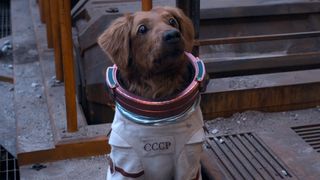 Cosmo in Guardians of the Galaxy Vol. 3, looking up expectantly