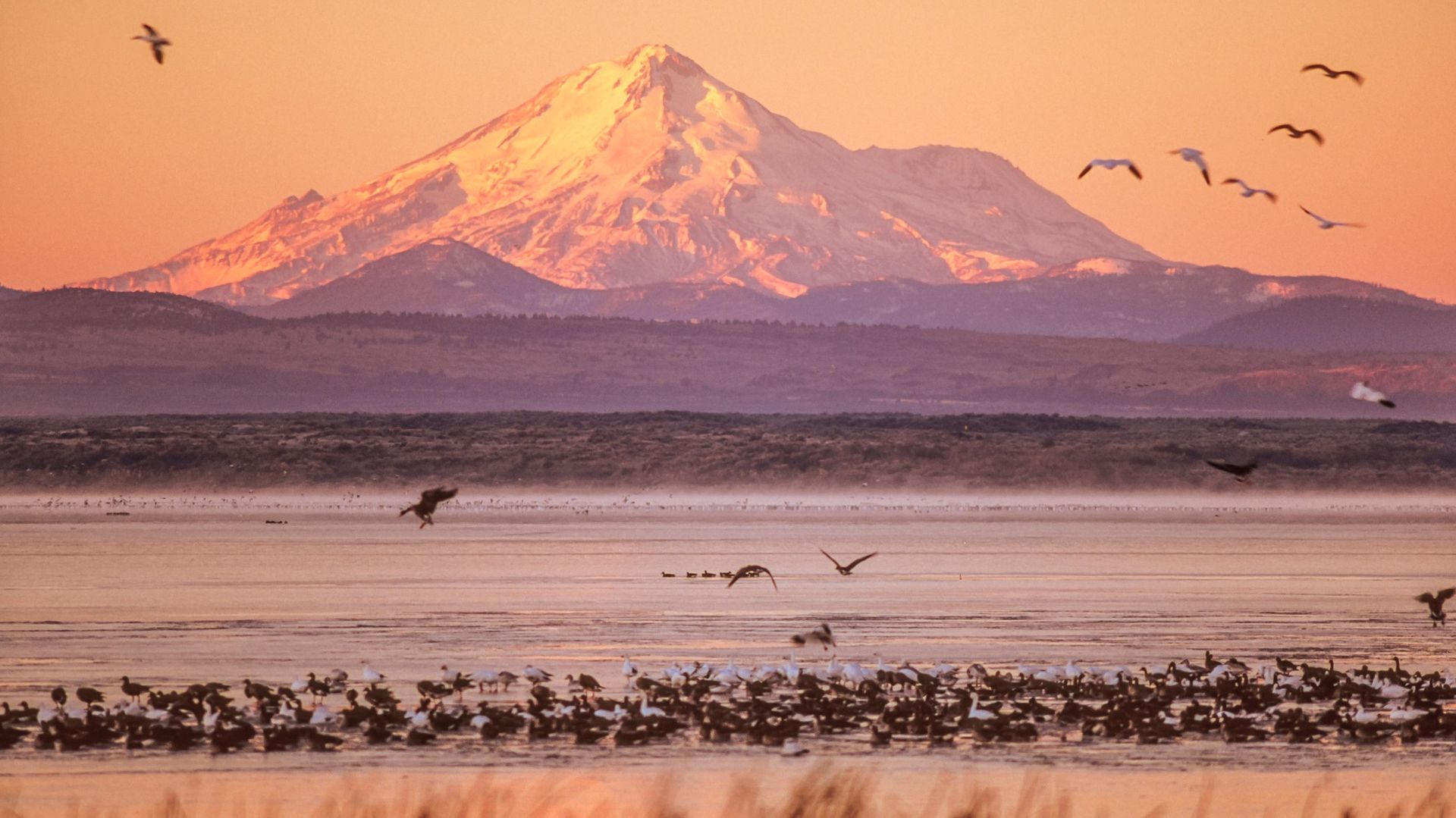 10 breathtaking locations to see October 2023's 'ring of fire' annular