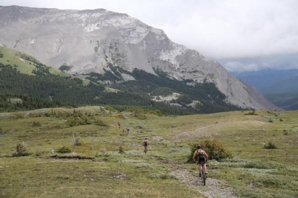 It's can get a little lonely in the wilds of the Rockies.