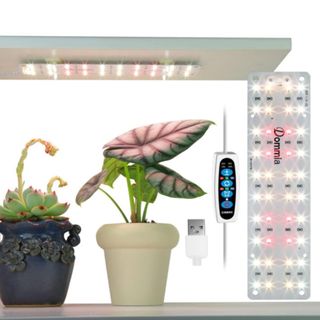 A rectangular silver light on a white plank above two plants, one succulent in a blck pot and one green and pink leafy plant in a white curved pot on a white ledge, with a white panel with LED lights dotted on it