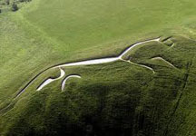 white_horse.jpeg