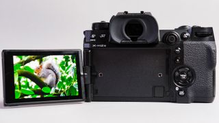 A photo of the Fujifilm X-H2S rear display, showing an image of a squirrel in a tree,against a grey background.