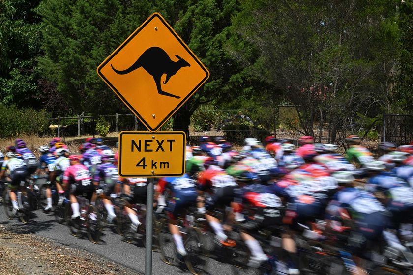 STIRLING, AUSTRALIA - JANUARY 19: A general view of the peloton prior to the 9th Santos Women's Tour Down Under 2025, Stage 3 a 105.9km stage from Stirling to Stirling 444m / #UCIWWT / on January 19, 2025 in Stirling, Australia. (Photo by Dario Belingheri/Getty Images)