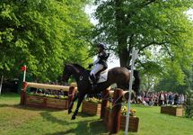 Ben Hobday at Badminton 2011 on Uptons Who