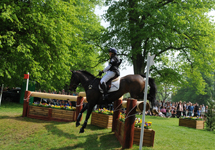 Ben Hobday at Badminton 2011 on Uptons Who