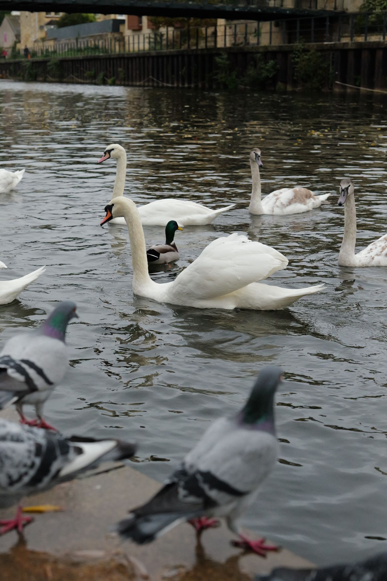 A photo taken on a Leica SL3 full frame mirrorless camera