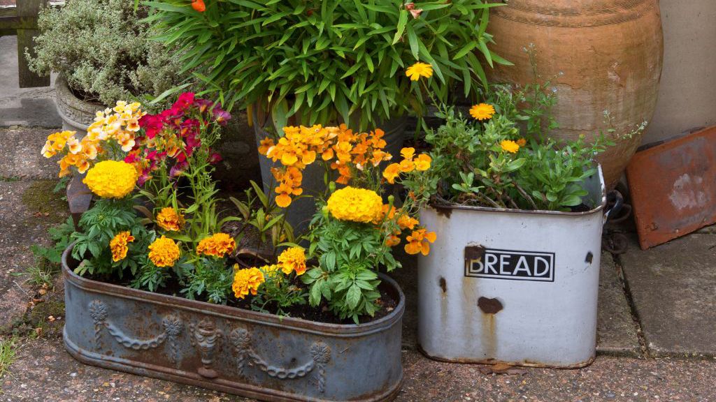 6 container gardening ideas are perfect for small spaces Real Homes