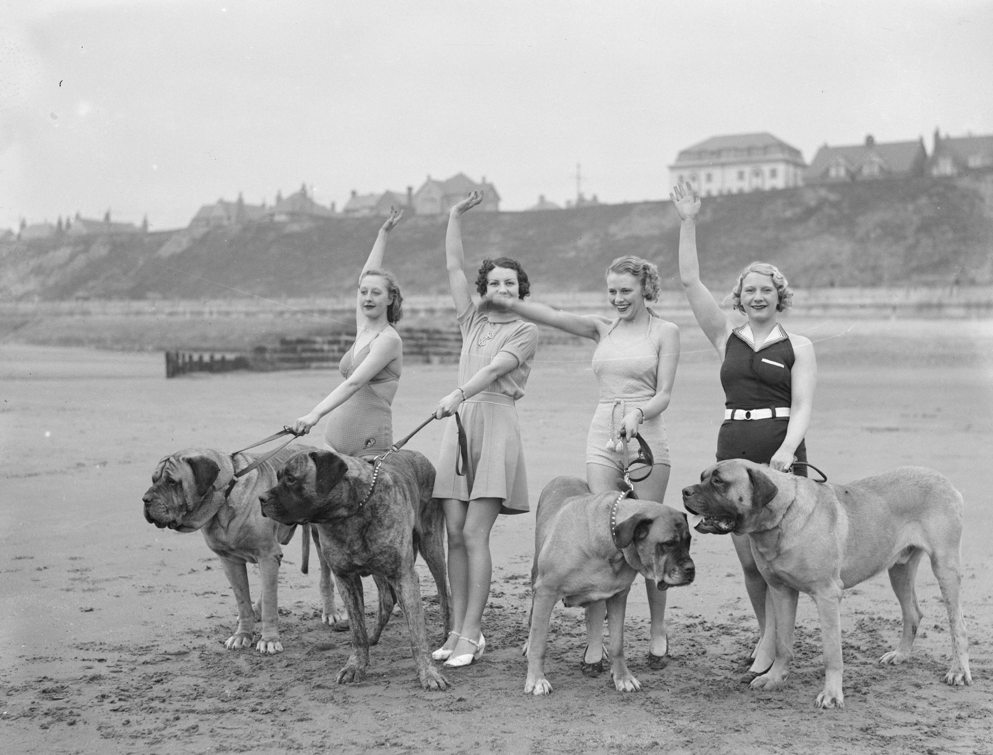 Four women and their mastiffs on Blackpool Beach in the 1930s
