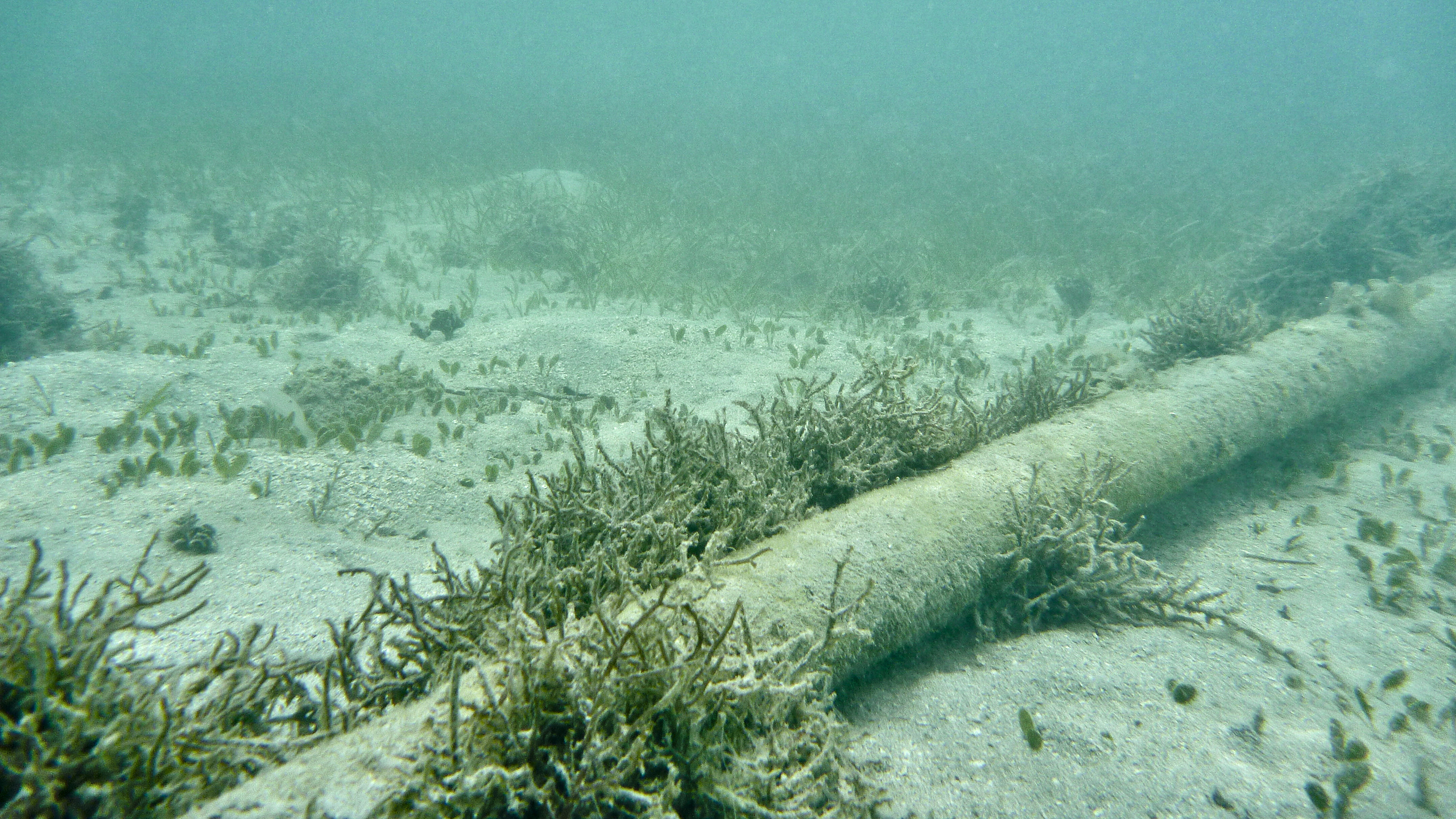 undersea cable