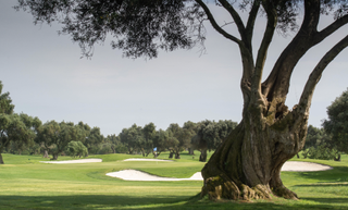 Quinta de Cima golf course pictured