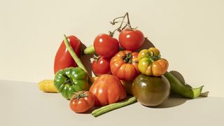 colorful vegetables on yellow background